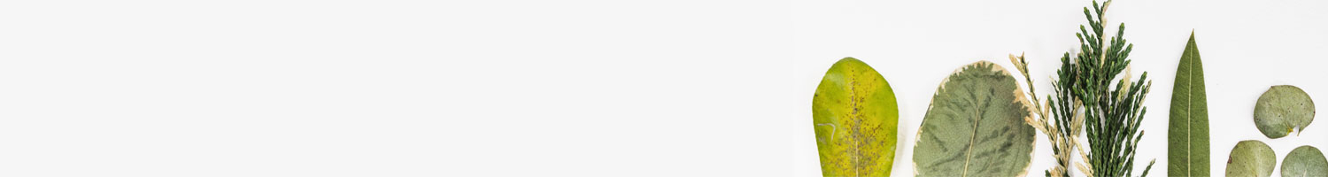 Banner10