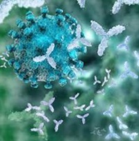 virus
